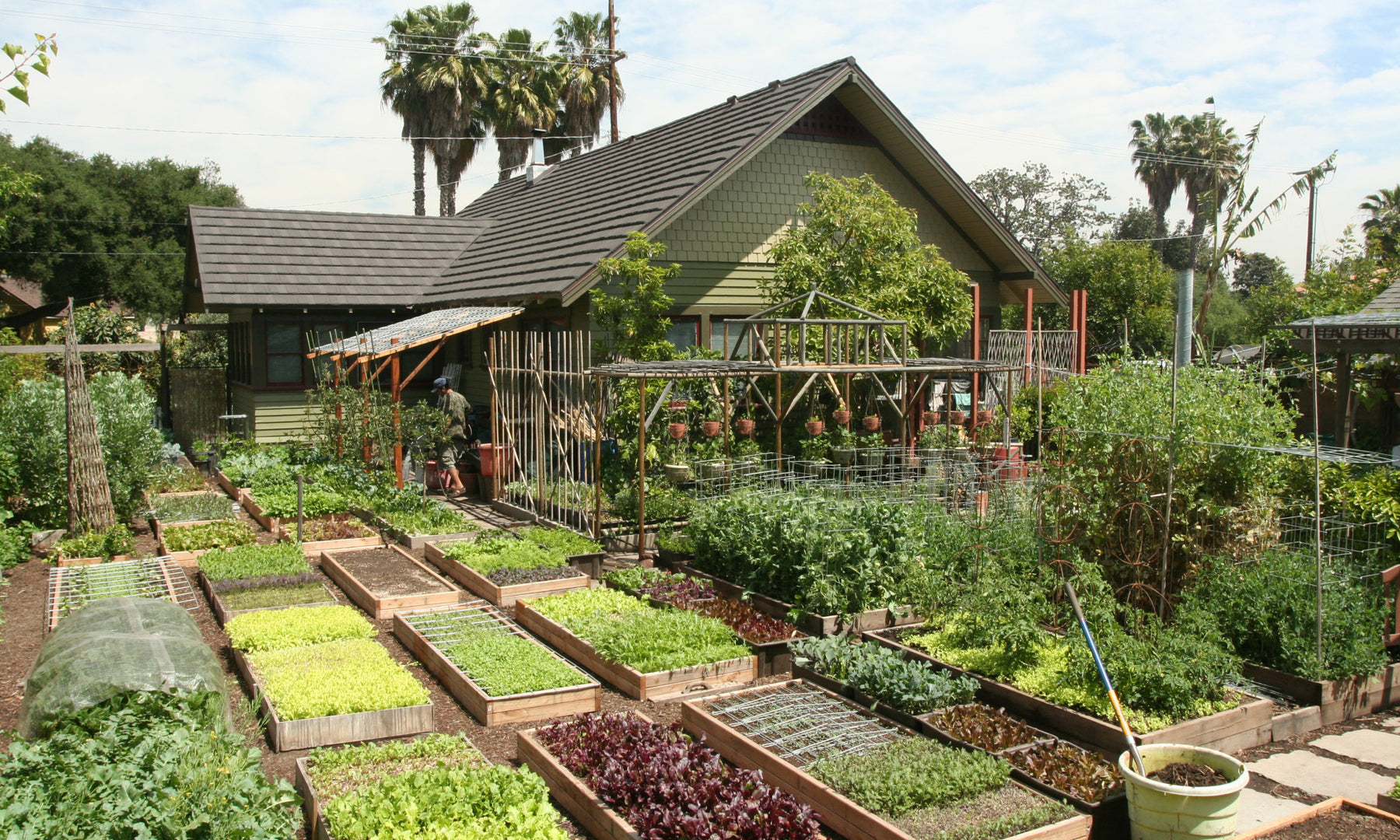 Meet the Family Growing 6,000 Pounds of Food on Just 1/10 Acre: A Lesson in Sustainable Farming