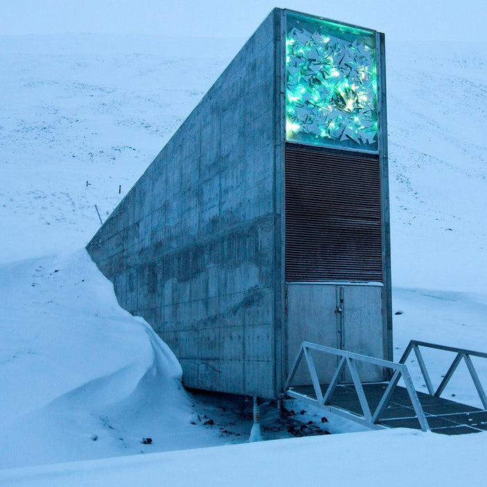 The US Government's TOP SECRET Emergency Food Supply: What Is the Arctic Seed Vault? - The Survival Prep Store