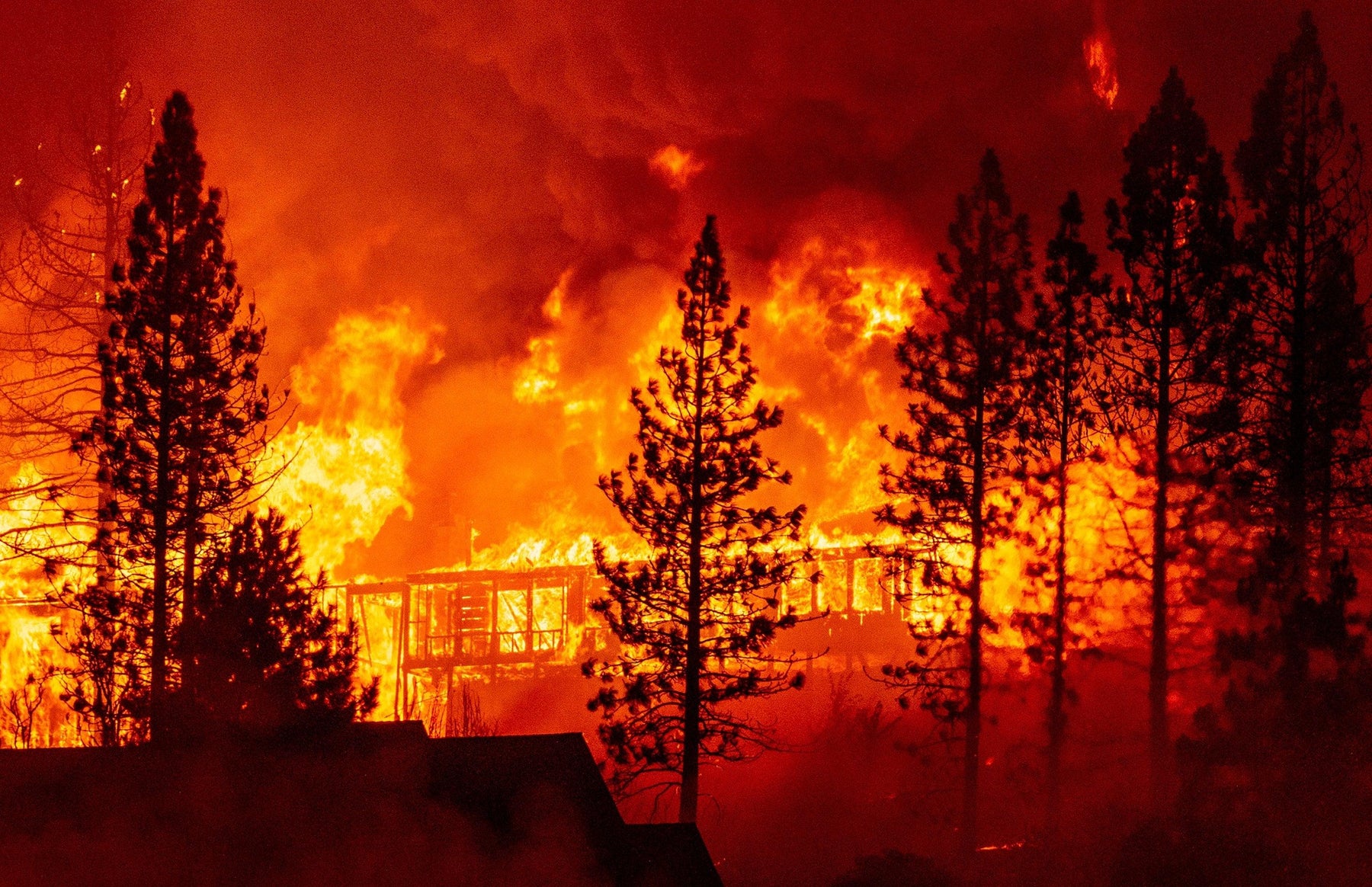 What is the Safest Place to be During a Wildfire? - The Survival Prep Store