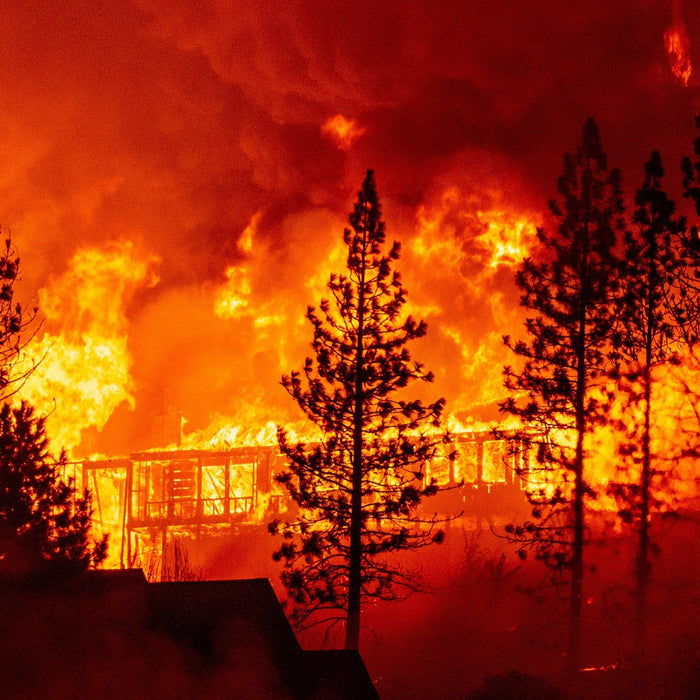 What is the Safest Place to be During a Wildfire? - The Survival Prep Store